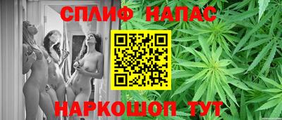 прущие грибы Аргун