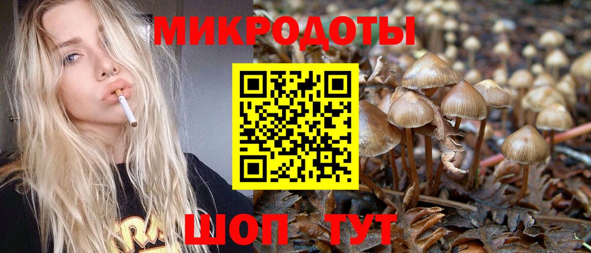 продажа наркотиков  Галлюциногенные грибы Cubensis  Вход с VPN  Камень-на-Оби  Псилоцибиновые грибы мухоморы 