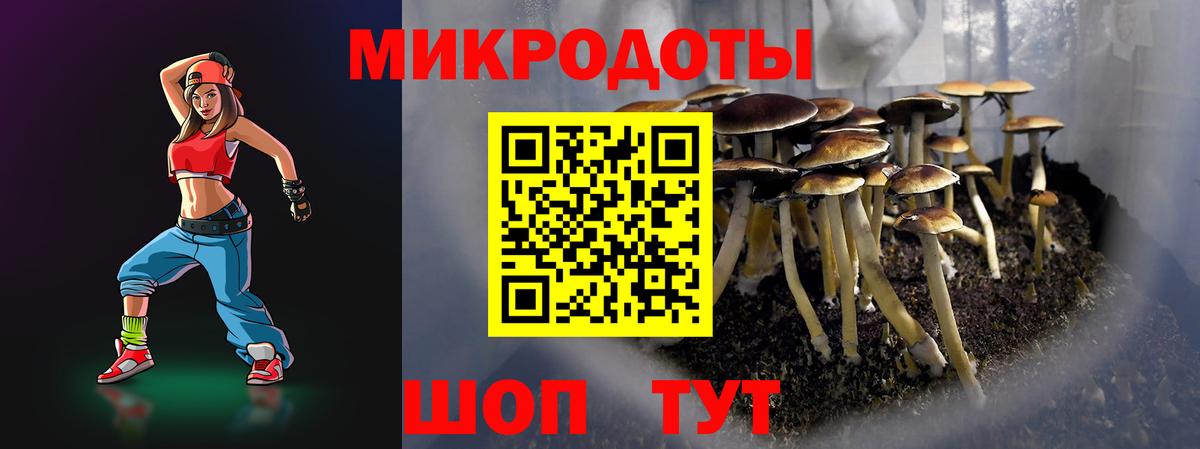Галлюциногенные грибы мицелий Камень-на-Оби